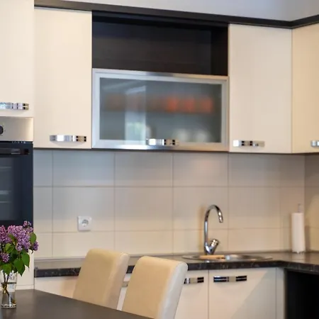 アパート Vukan Petica ズラティボール