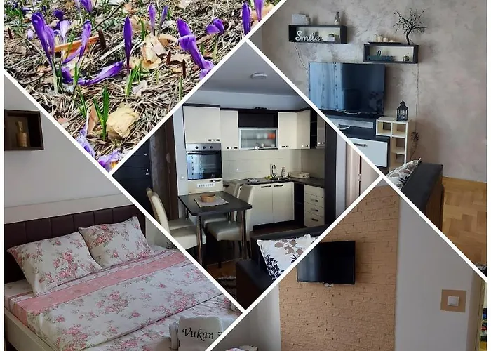 Vukan Petica 아파트