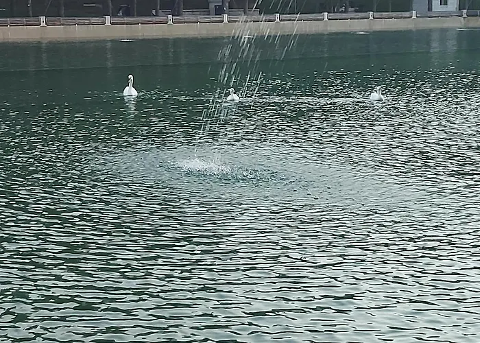 아파트 Vukan Petica